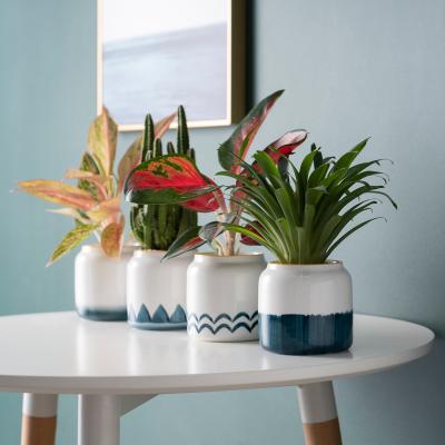 China Modern Creative Hand Painted Minimalist Ceramic Flower Pots Cheap Planters For Home Decor for sale