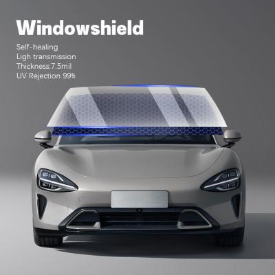 China Self Healing Perforated Auto Windshield Film TPU Car Windshield Protective Film for sale