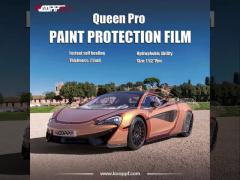 Queen Pro Clear Paint Protection Film