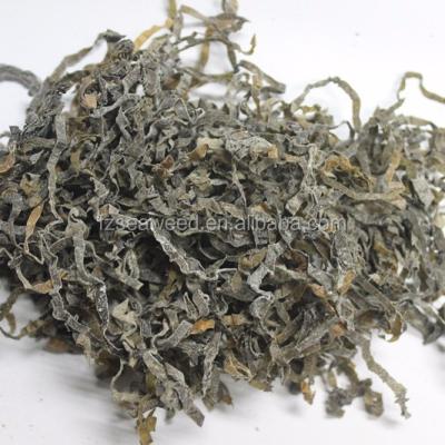 China Best Price Brown Algae Sea Kelp Dry Sun Dried Fresh Seaweed Seaweed, Seaweed Buyer for sale