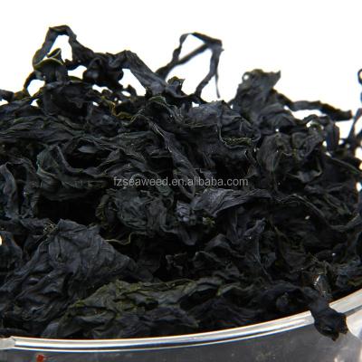 China Chinese dry seaweed food, kelp powder seaweed, nori, zicai seaweed supplier for sale