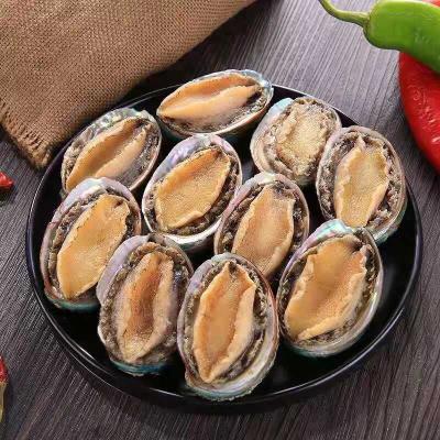 China Wholesale Factory Supplier Sea Farming Frozen Abalone Required for sale