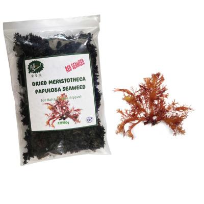 China Dry Dried Meristotheca Papulosa Seaweed 300g / 3 Bags for sale