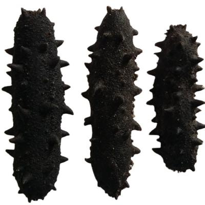 China NATURE pickly black dry sea cucumber 200g/1bag for sale