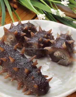 China Low Fat Sea Cucumber USA Wholesale Sea Cucumber Dry Sea Cucumber Price for sale