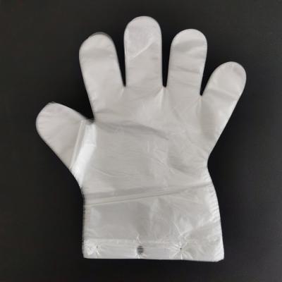 China Cleaning 0.6 working gloves moisterizing protective packing disposable pe gloves for household use for sale