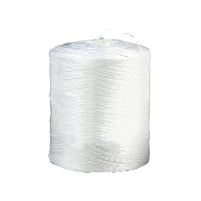 China White Natural Color PP Agriculture Tomato Twine Rope PP Raffia Twine for sale