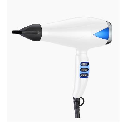 China Professional Ionic Professional Hair Dryer AC Hair Dryer and Volumizer Flight Hotel Baber Salon Air Dryer for sale