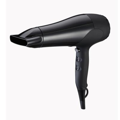 China 2200W Ionic Hot Selling Ionic Hair Dryer DC Hotel Hair Dryer Flight Hair Dryer Organizer for sale