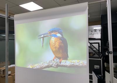 China Película de pantalla olográfica transparente para la publicidad de la tienda de la ventana de cristal en venta