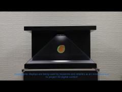 3D Holographic Display