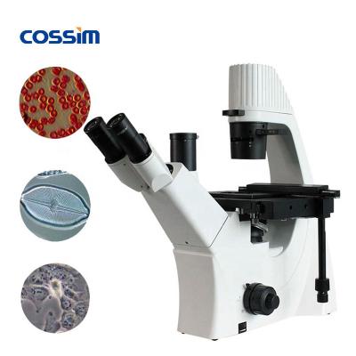 China 100X-400X Trinocular Phase Contrast Inverted Biological Microscope BLD-300 for sale