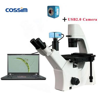 China BLD-300 Medical Laboratory Digital Biology Biological Microscope Biological Laboratory For Sale BLD-300+UCMOS for sale