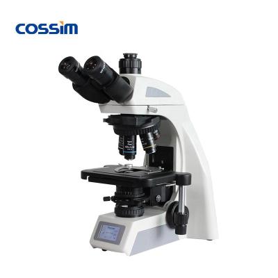 China BL-620T 40X~1000X Design Biological Laboratory Biological Microscope Ergonomic Laboratory Microscope For Research BL-620T for sale