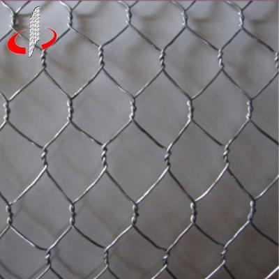 China 1/2 Inch Durable Iron Galvanized Hexagonal Wire Mesh for sale