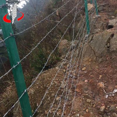 China Grass Boundary Protection Galvanized Stainless Steel Barbed Wire Cheap Price Per Roll Wholesale for sale