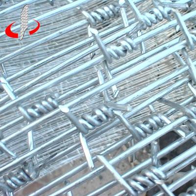 China Grass Border Hot-Dipped Galvanized Barbed Wire Fence Roll Price Per Ton Protection for sale