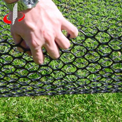 China HDPE used for grass protection, farm poultry by HDPE extruded plastic mesh for sale