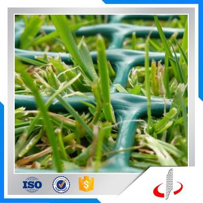 China Plastic Poultry Flat Net Used In Farm For Poultry / Plasitc Flat Net Used For Duck, Chicken for sale