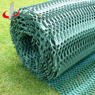 China Grass Protection 1m x 10m Strong Grass Turf Protection Reinforcement Mesh Mat Car Park Lawn for sale