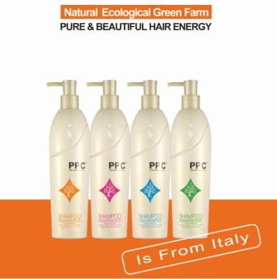 China Sweet Anti-Dandruff PPC OEM/ODM Private Label Shampoo Names Pictures Moisturizing Anti-Dandruff Argan Oil Hair Shampoo For Hair Repair for sale