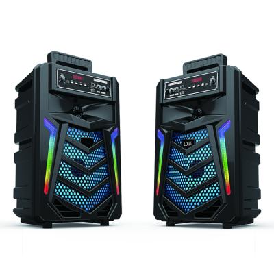 China Phone Function HT-F2 BT Speaker Led Lights Party Wireless Karaoke Portable PA Speakers for sale