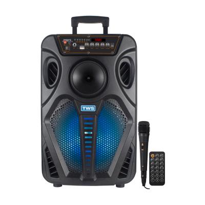 China Beautiful Phone Function Design Bass Speakers Large 12 Inch Trolley LED Light Rechargeable Speaker for sale