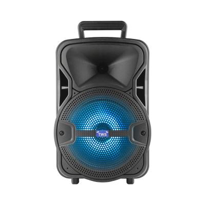 China 12 Inch Speaker Phone Function OEM HT-005 Audio Outdoor Portable Wireless Trolley for sale