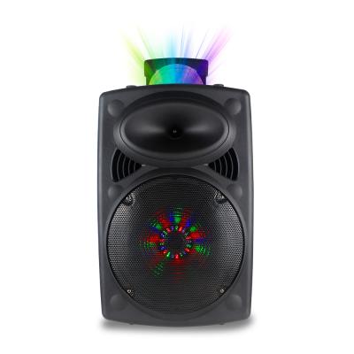 China No 12 Inch Outdoor Super Bass Cart Speaker MIC BT Party DJ Wireless Speakers for sale