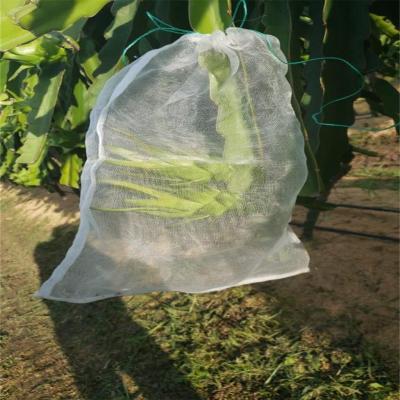 China ANTISTATIC Agriculture Fruit Protection Net Bag Grape Anti Insect Mesh Net Bag for sale