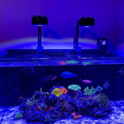 China Saltwater 100W Wifi Full Spectrum Nano Led Coral Reef Grow Lamp For Sale A7 for sale