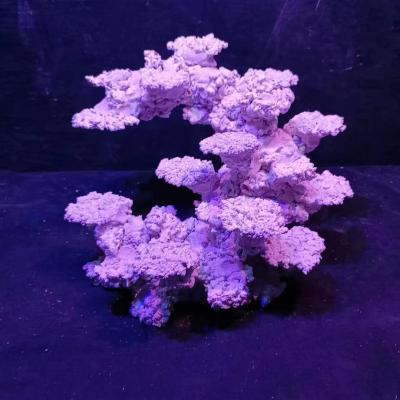 China Custom Viable Aquarium Decoration 60cm Aquascaping Stone Rock For Sale for sale