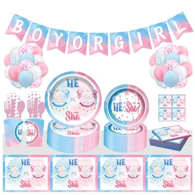 China New Design Popular Pink And Blue Baby Shower Party HIM OR HER Themed Disposable Tableware Set for sale