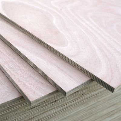 China Modern Commercial Timber Sheet Manufacturer Price Hot Sale Baltic Birch Birch Plywood / Eucalyptus Plywoods Ship for sale