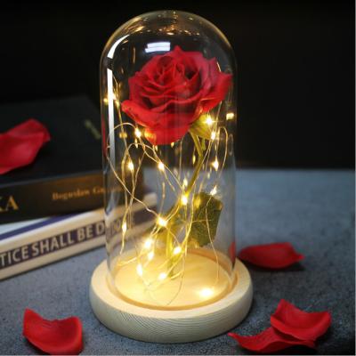 China Barber Shop Eternal Rose LED Beauty Father's Day and Mother's Day Valentine's Day Easter Gift Beast Glass Cover Christmas Home Decor for sale