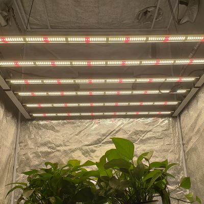 China Seed Starting AURORA 6 Bars Vertical Hydroponics Farm 680w Led To Grow Light for sale