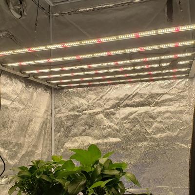 China AURORA Indoor Seed Starting Plant Grow Light Bar 320W 680W 800W Led Grow Light for sale