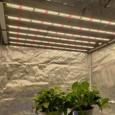 China Seed Starting AURORA Professional 650W 680W Led Grow Light Foldable 720W 800W Led Grow Light Bar Dimmable Led Grow Light for sale