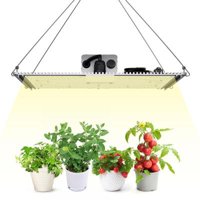 China Seed Starting AURORA Circle Lighting Design Uniformity Distribution 100W Led Grow Light For Indoor Growing System for sale