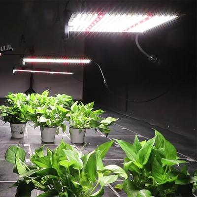 China Seed Starting AURORA Led Grow Light Factory Full Spectrum 3030 Led Grow Light 100W 200W 300w For Indoor Greenhouse for sale