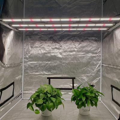 China Seed Starting High Power Chip Plant Lamp Full Spectrum 320W Led Grow Light For Greenhouse Indoor Plants Seed Veg Flower for sale