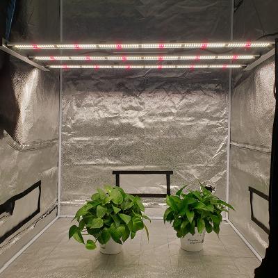 China Seed Starting Professional Supplier 320W Lm301b Vertical Agricultural LED Grow Lights for sale