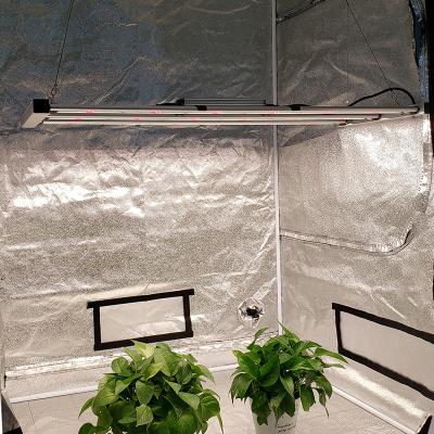 China Seed Starting Factory Direct Sales Led To Cultivate Light Indoor Plant Grow Light To Grow Tent for sale