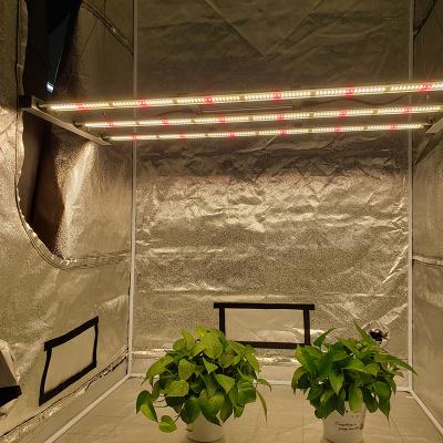 China Seed starting hot selling aurora 320w 400w 500w full spectrum led grow light with red lm301b osram 660nm for sale