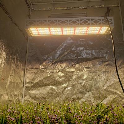 China Seed Starting 320W Dimmable Full Spectrum LED Grow Light for sale