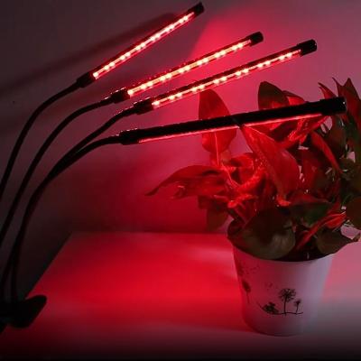 China Seed Starting Full Spectrum LED Grow Light With Timing 40W Desk Clip Lamps For Indoor Plants Flowers Seedling for sale