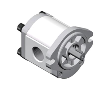 China Hydraulic Station Cast Iron Gear Pump Widely Used In Hydraulic Station for sale