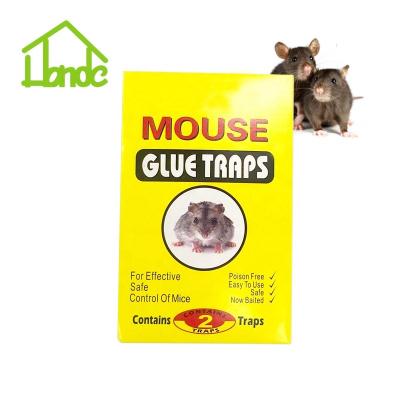 China New Design Disposable Mice Stick Traps For Wholesales for sale