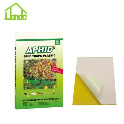 China Disposable plastic aphid glue trap with hanging wire for sale