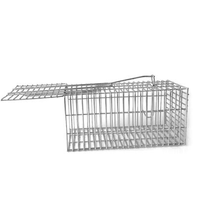 China Humane Viable Trap Rodent Trap Cage Rat Mouse Safe Wire Mesh Cage for sale